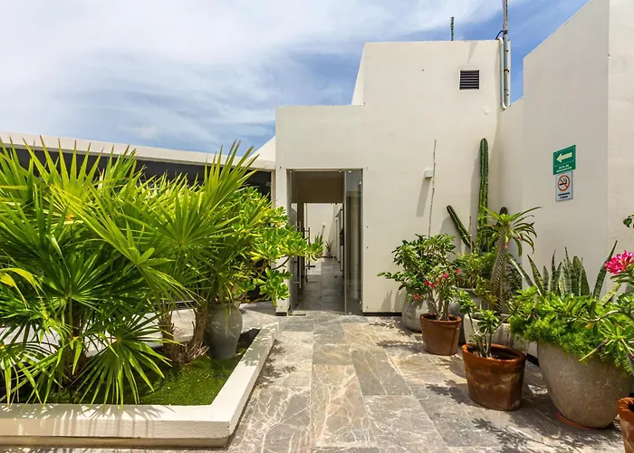 Ocean Front! Amazing Rooftop Pool, Walk To Fifth! *